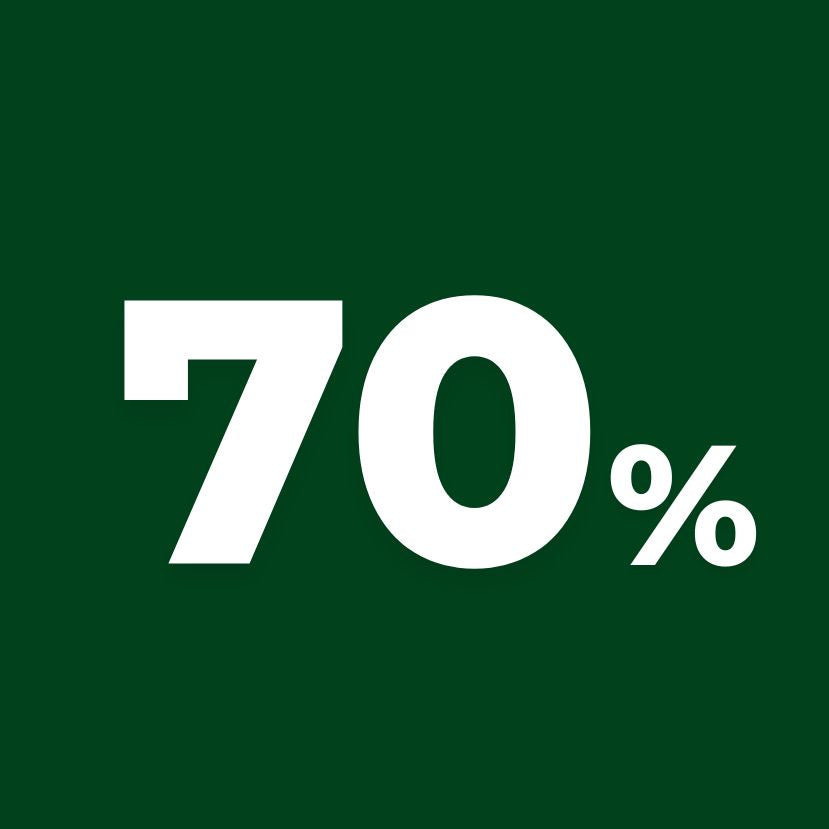 Sale 70%