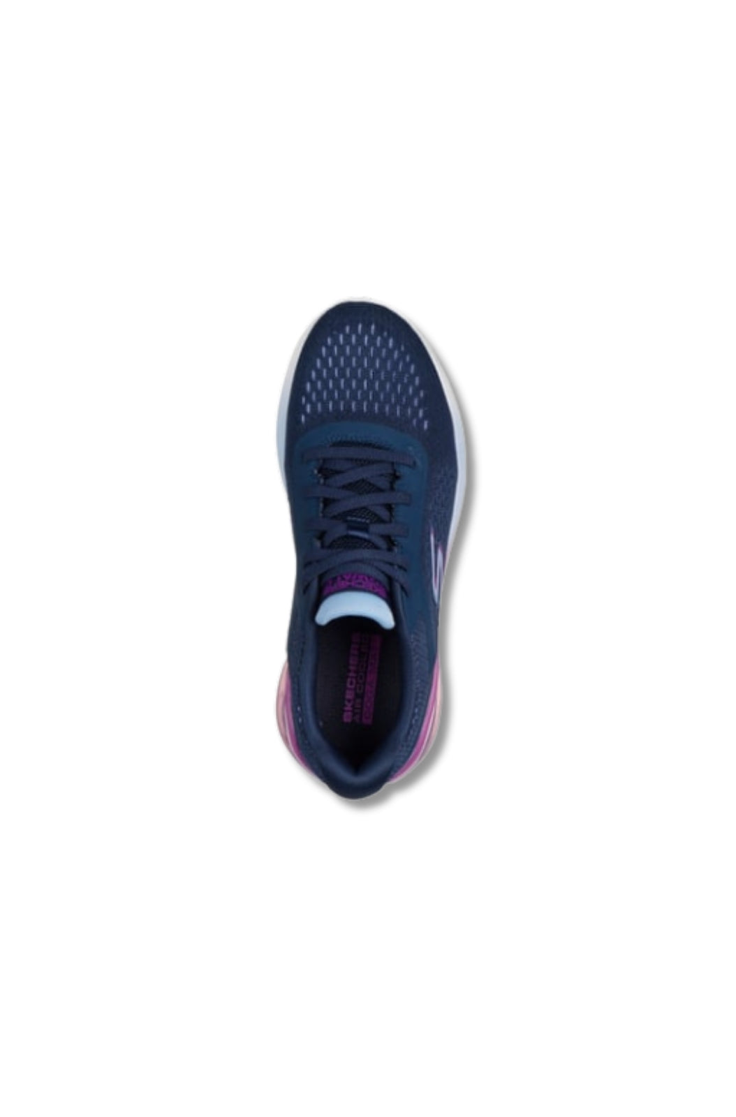 Navy Purple