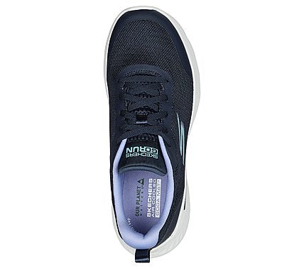 Navy Lavender