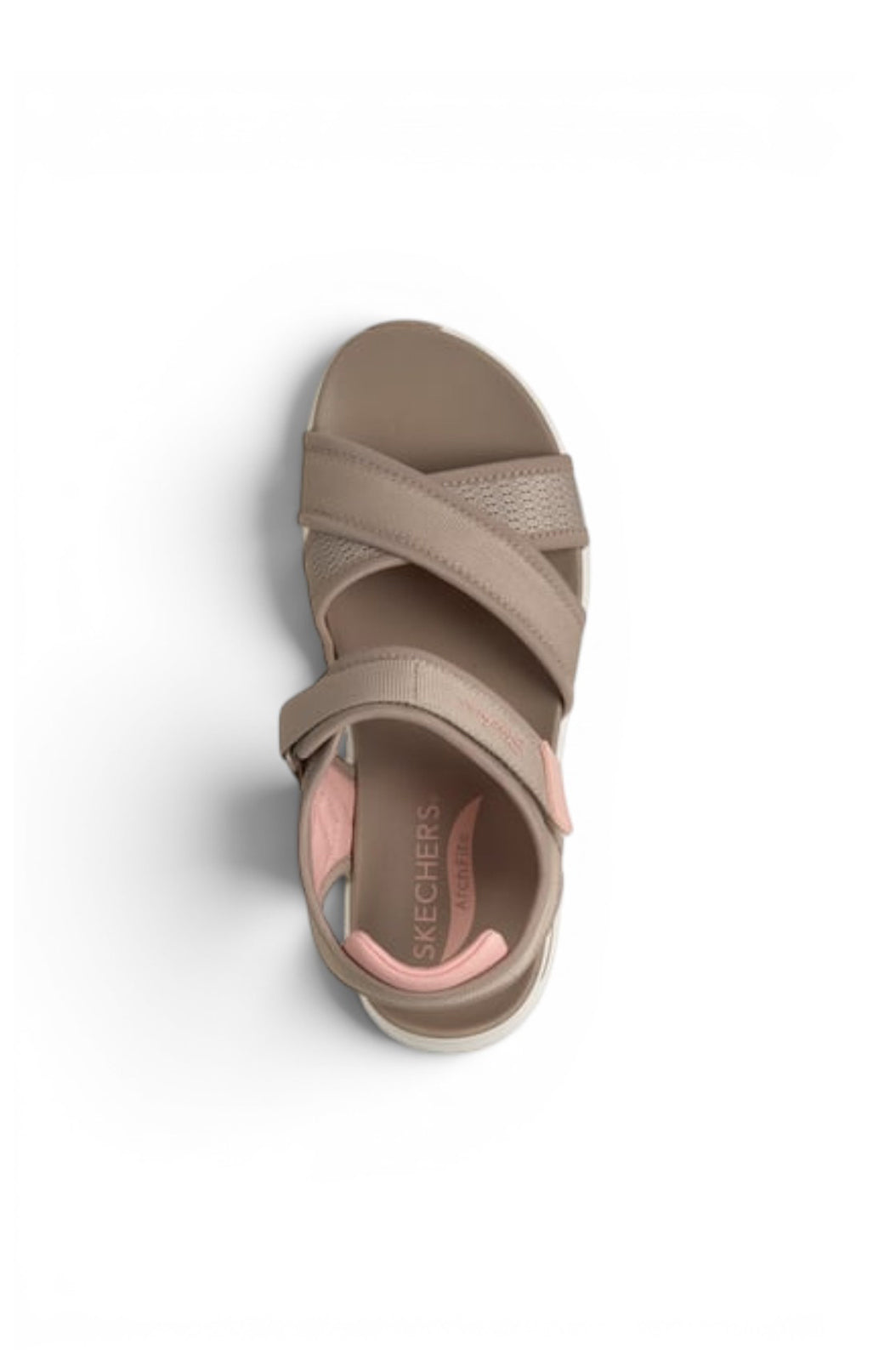 Taupe Coral