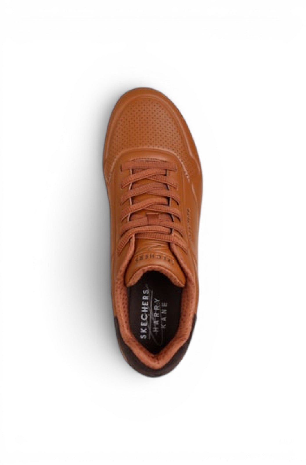 Chestnut