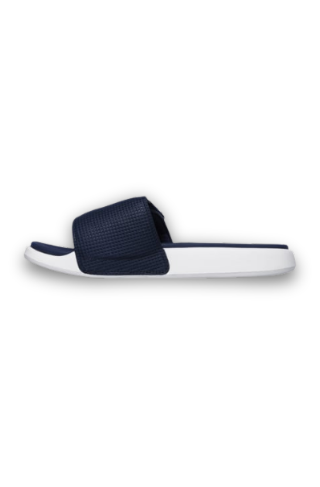Navy White