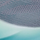 Grey Blue