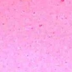 skechers sunshines lights