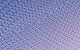 Navy Lavender