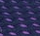 Navy Mint