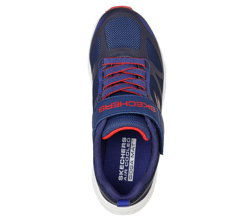 Navy Red